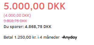 Screenshot: Anyday payment option (pay in instalments)