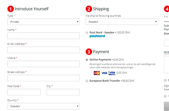 The checkout with delivery and payment methods by country