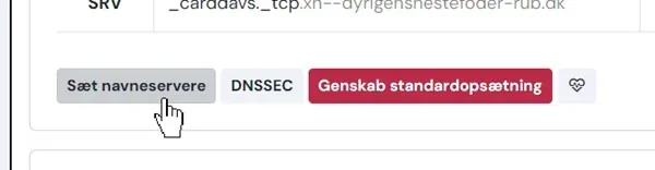 The Sæt navneservere (Set name servers) button at simply.com
