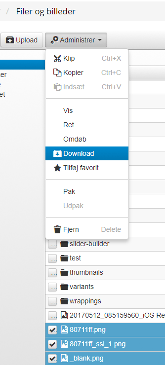 Screenshot: Downloading images/files
