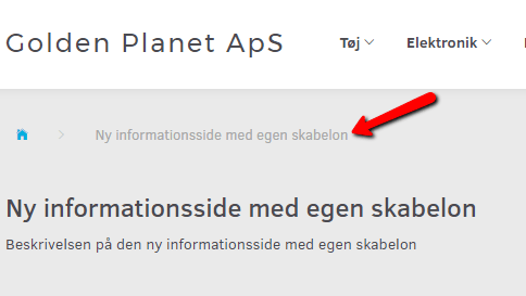 Screenshot: What can be changed in the template?