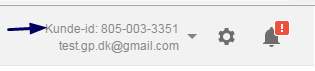 Google Ads customer ID